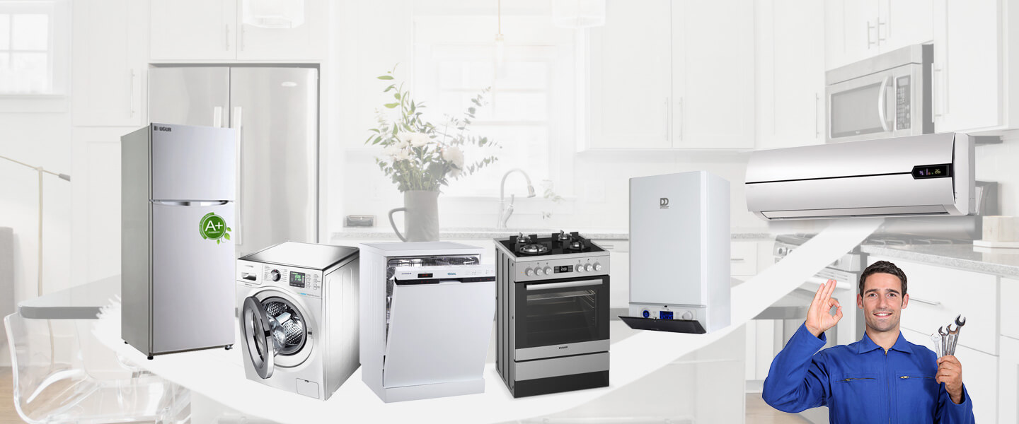 Alaşehir Vaillant Servisi